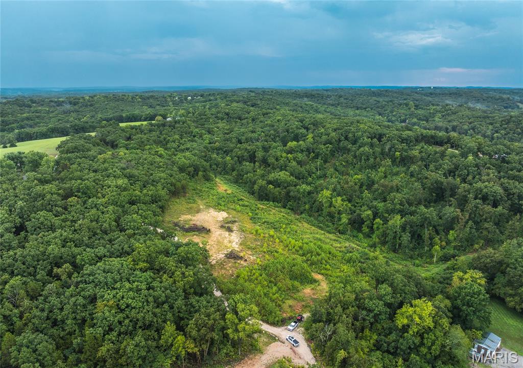 0 Highway 67 Festus, MO 63028 - Photo 18 of 38