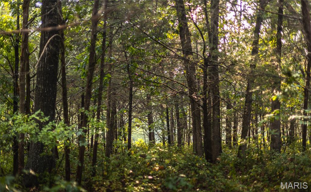 0 Highway 67 Festus, MO 63028 - Photo 19 of 38