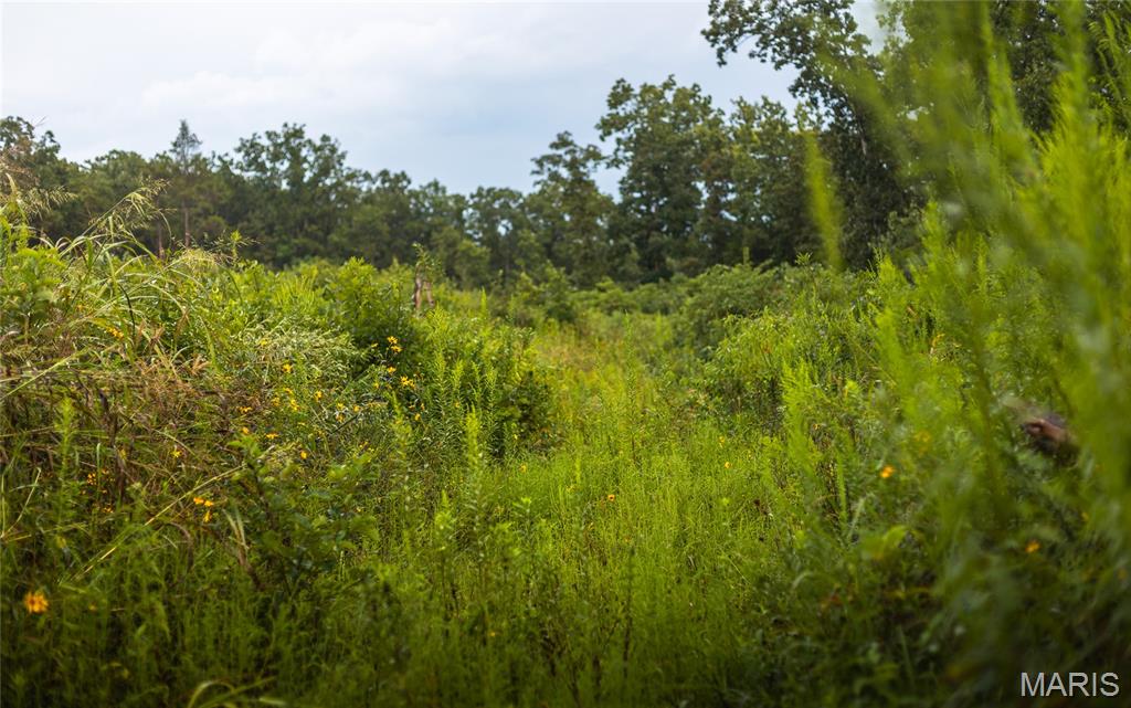 0 Highway 67 Festus, MO 63028 - Photo 20 of 38