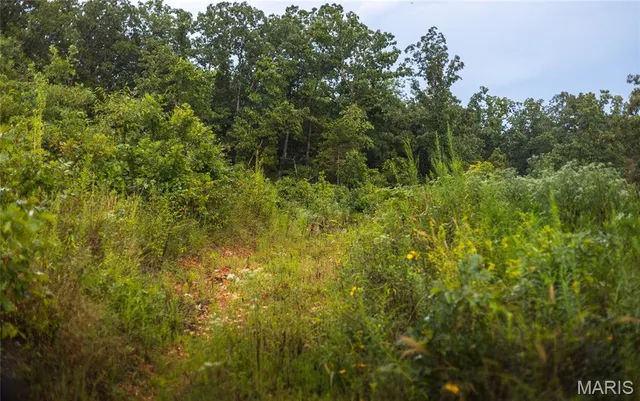 $349,900 | 0 Highway 67, Festus, MO 63028