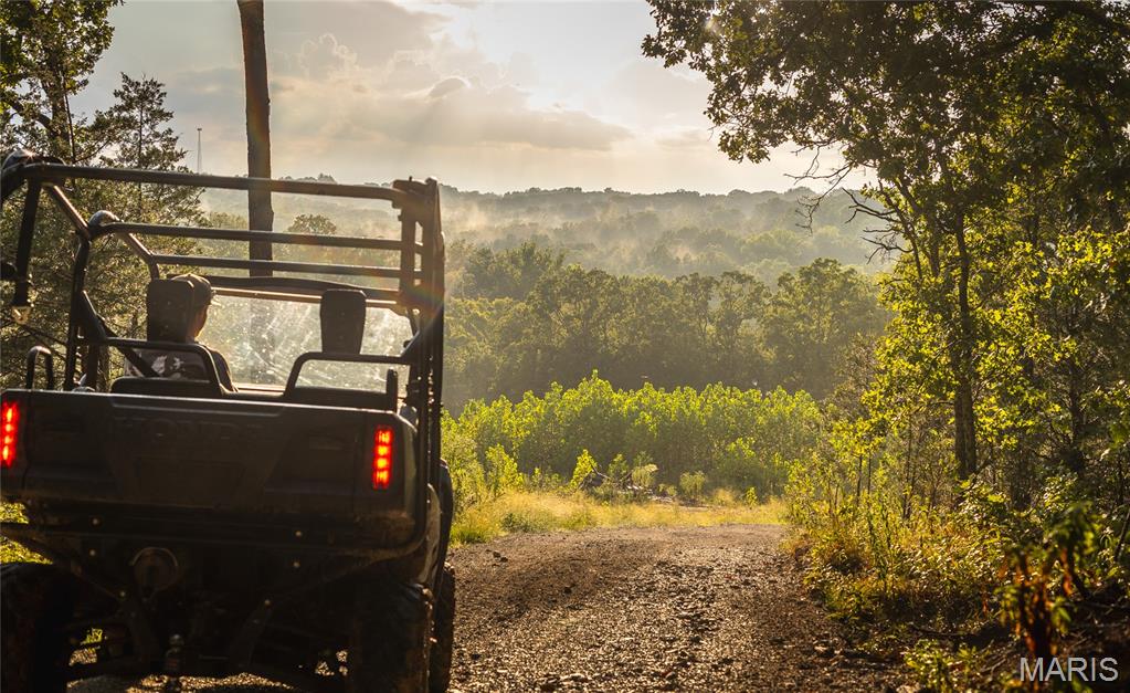 0 Highway 67 Festus, MO 63028 - Photo 22 of 38
