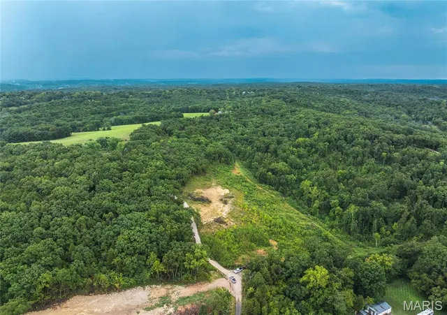 $349,900 | 0 Highway 67, Festus, MO 63028