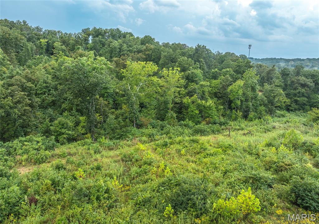 0 Highway 67 Festus, MO 63028 - Photo 24 of 38