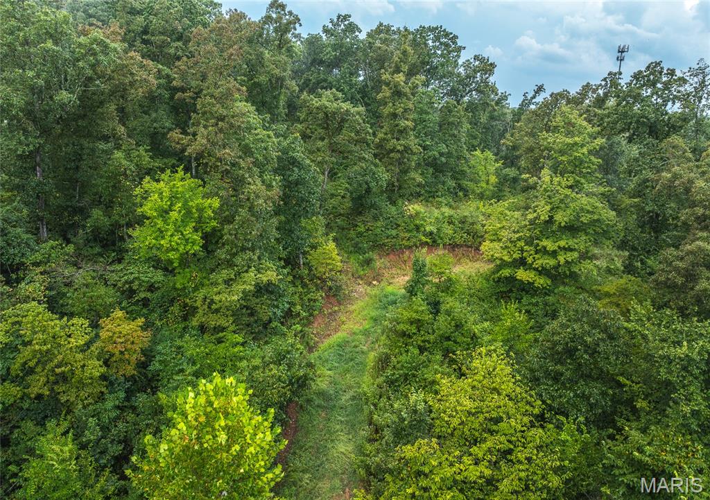 0 Highway 67 Festus, MO 63028 - Photo 25 of 38