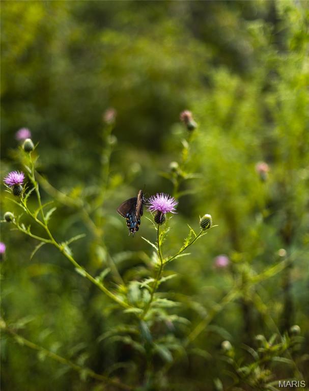 0 Highway 67 Festus, MO 63028 - Photo 27 of 38