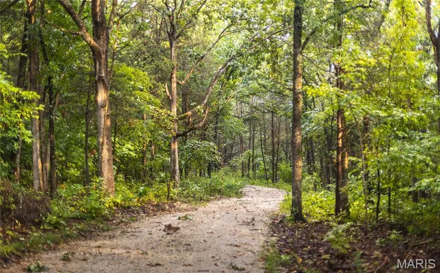 $349,900 | 0 Highway 67, Festus, MO 63028