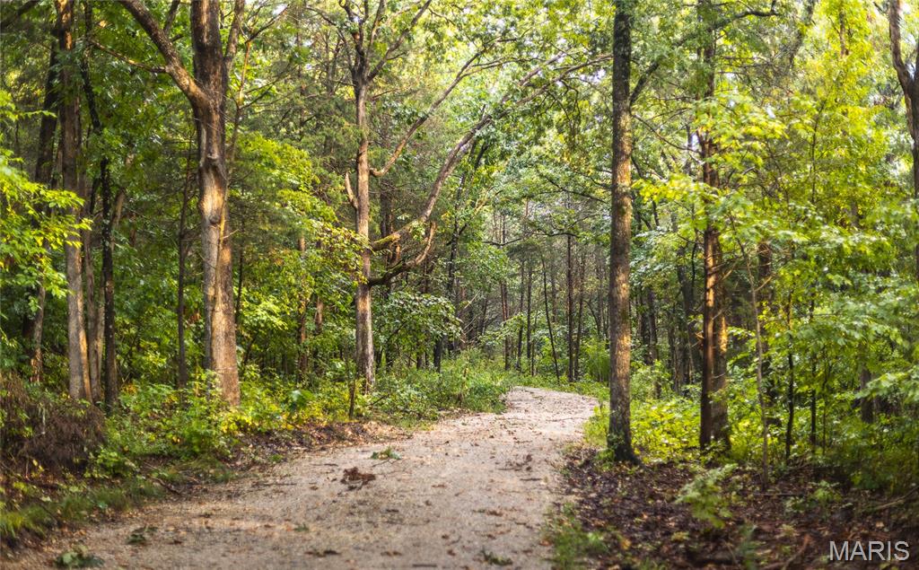 0 Highway 67 Festus, MO 63028 - Photo 28 of 38