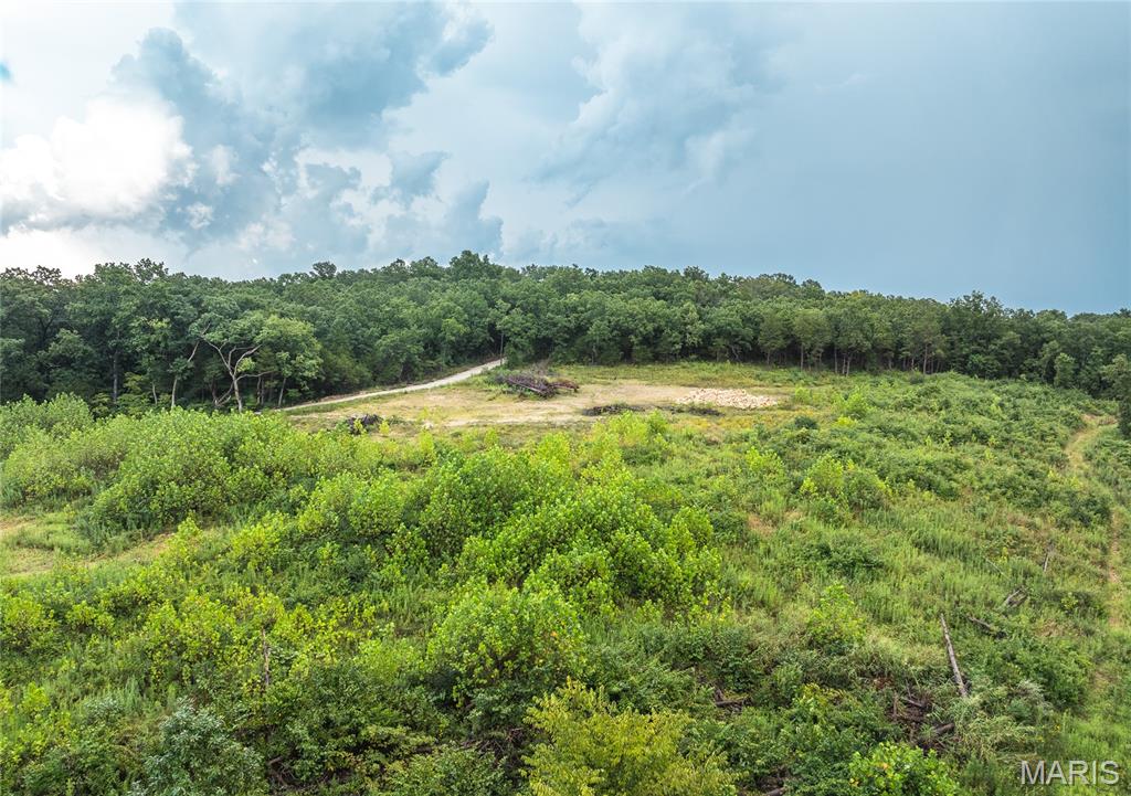 0 Highway 67 Festus, MO 63028 - Photo 30 of 38