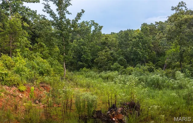 $349,900 | 0 Highway 67, Festus, MO 63028