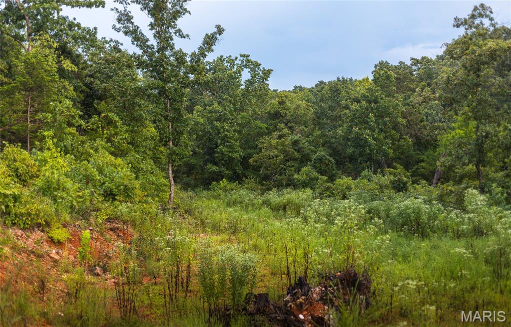 0 Highway 67 Festus, MO 63028 - Photo 31 of 38