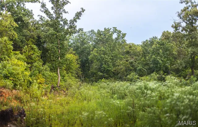 $349,900 | 0 Highway 67, Festus, MO 63028