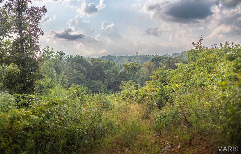 0 Highway 67 Festus, MO 63028 - Photo 33 of 38