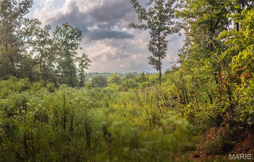 0 Highway 67 Festus, MO 63028 - Photo 34 of 38