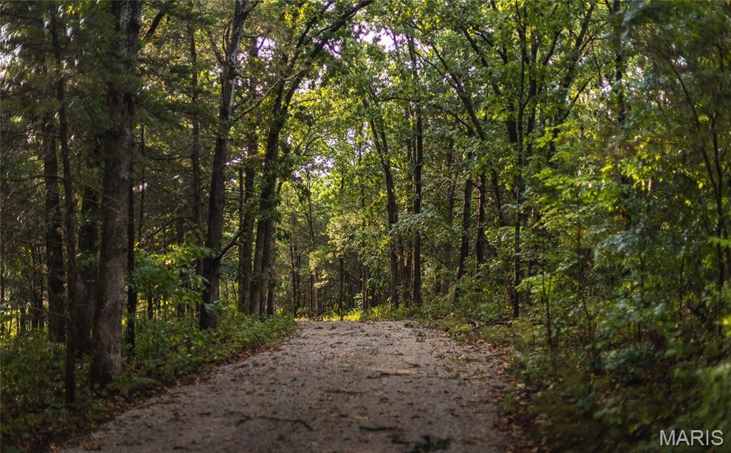 0 Highway 67 Festus, MO 63028 - Photo 35 of 38