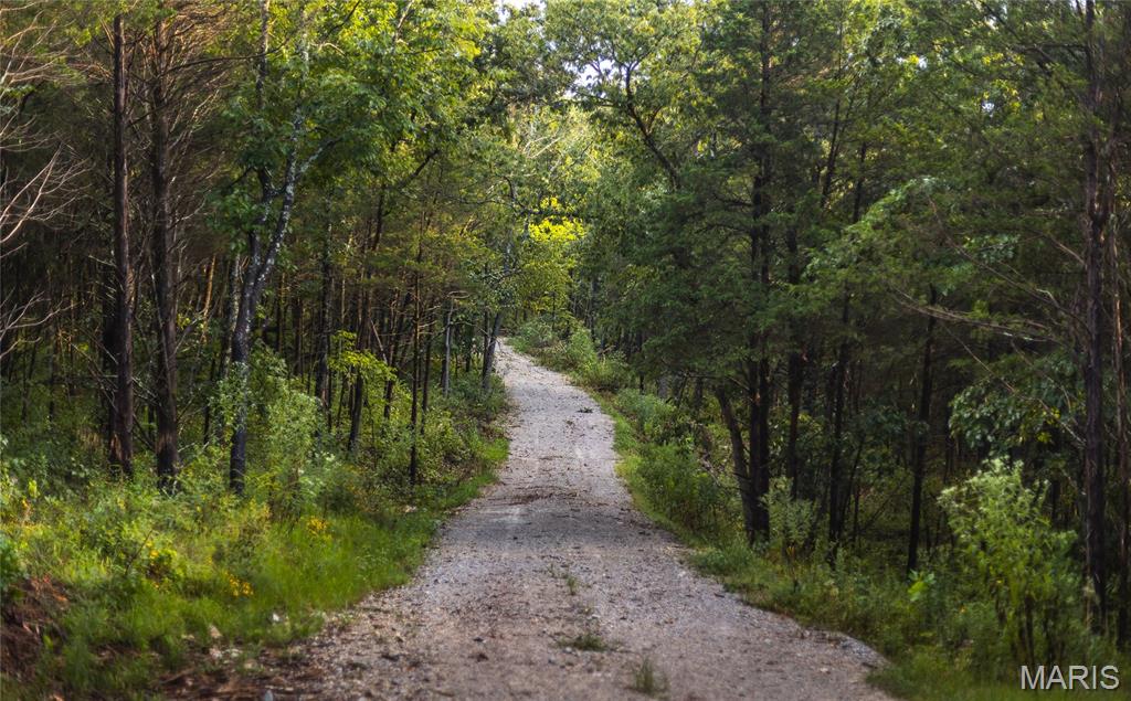 0 Highway 67 Festus, MO 63028 - Photo 36 of 38