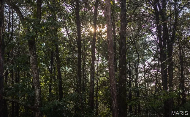 $349,900 | 0 Highway 67, Festus, MO 63028