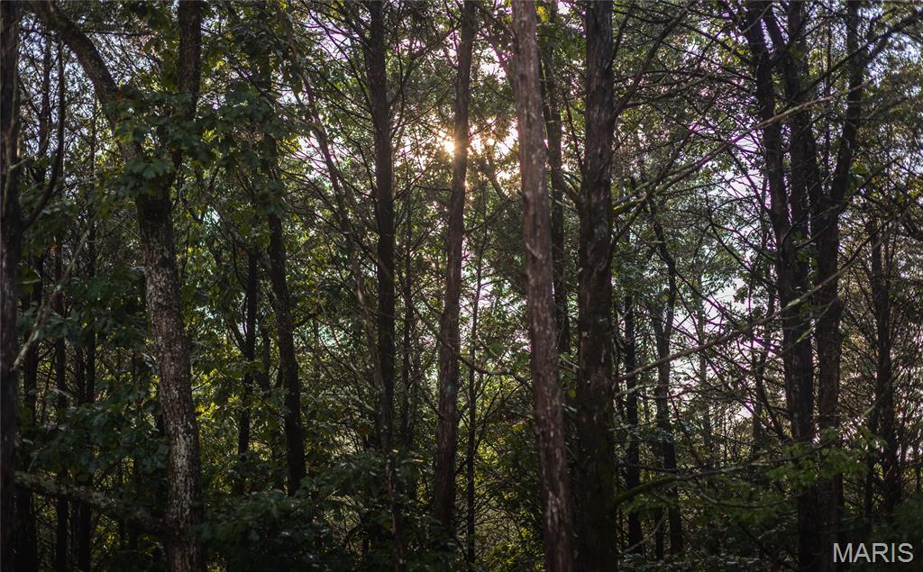 0 Highway 67 Festus, MO 63028 - Photo 37 of 38