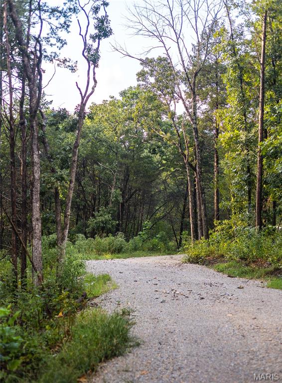 0 Highway 67 Festus, MO 63028 - Photo 38 of 38