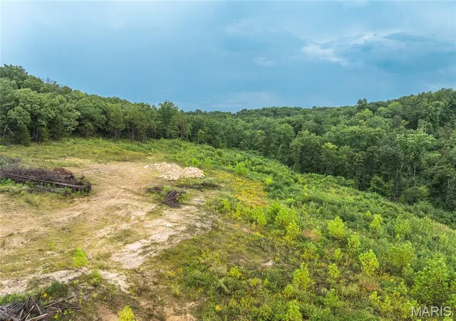 $349,900 | 0 Highway 67, Festus, MO 63028