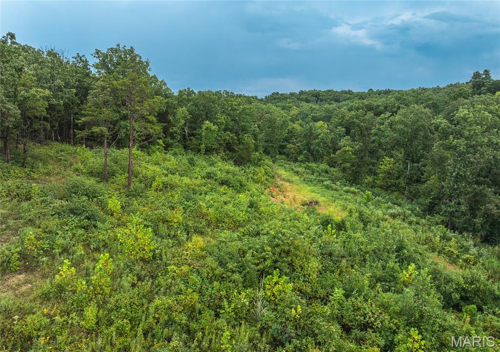 0 Highway 67 Festus, MO 63028 - Photo 7 of 38