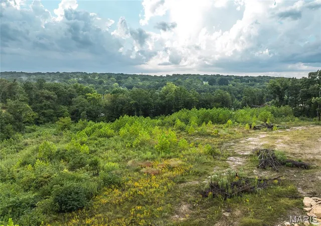 $349,900 | 0 Highway 67, Festus, MO 63028