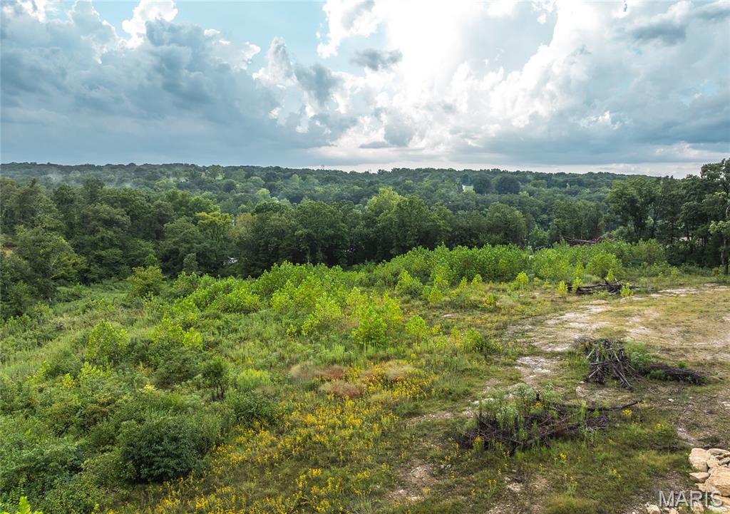 0 Highway 67 Festus, MO 63028 - Photo 8 of 38