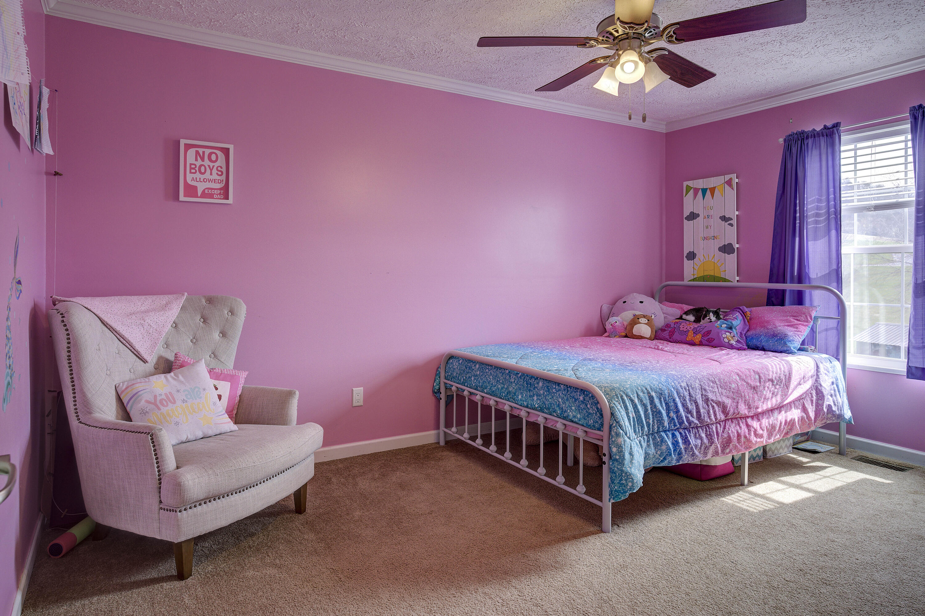 21 Pilot Knob Road Greeneville, TN 37743 - Photo 43 of 70 Pilot-28