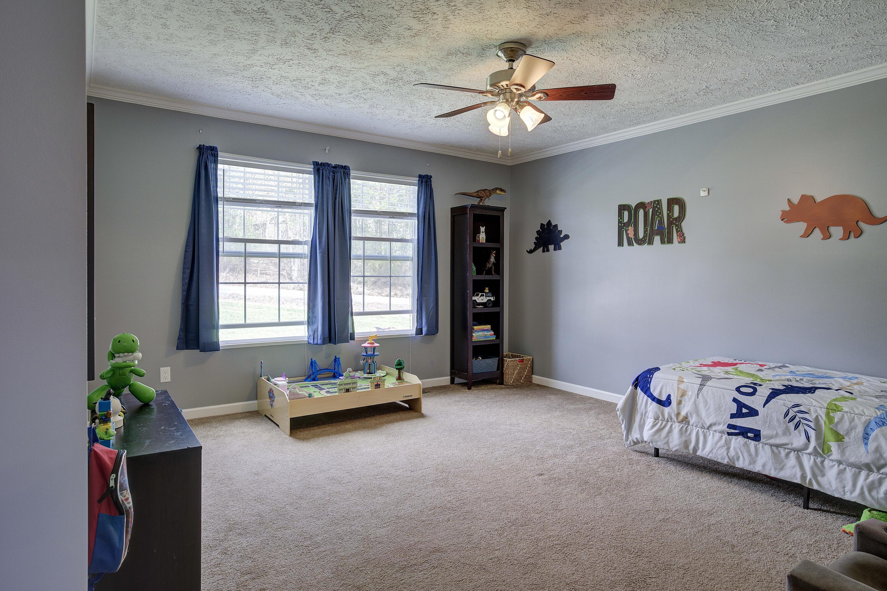 21 Pilot Knob Road Greeneville, TN 37743 - Photo 50 of 70 Pilot-31