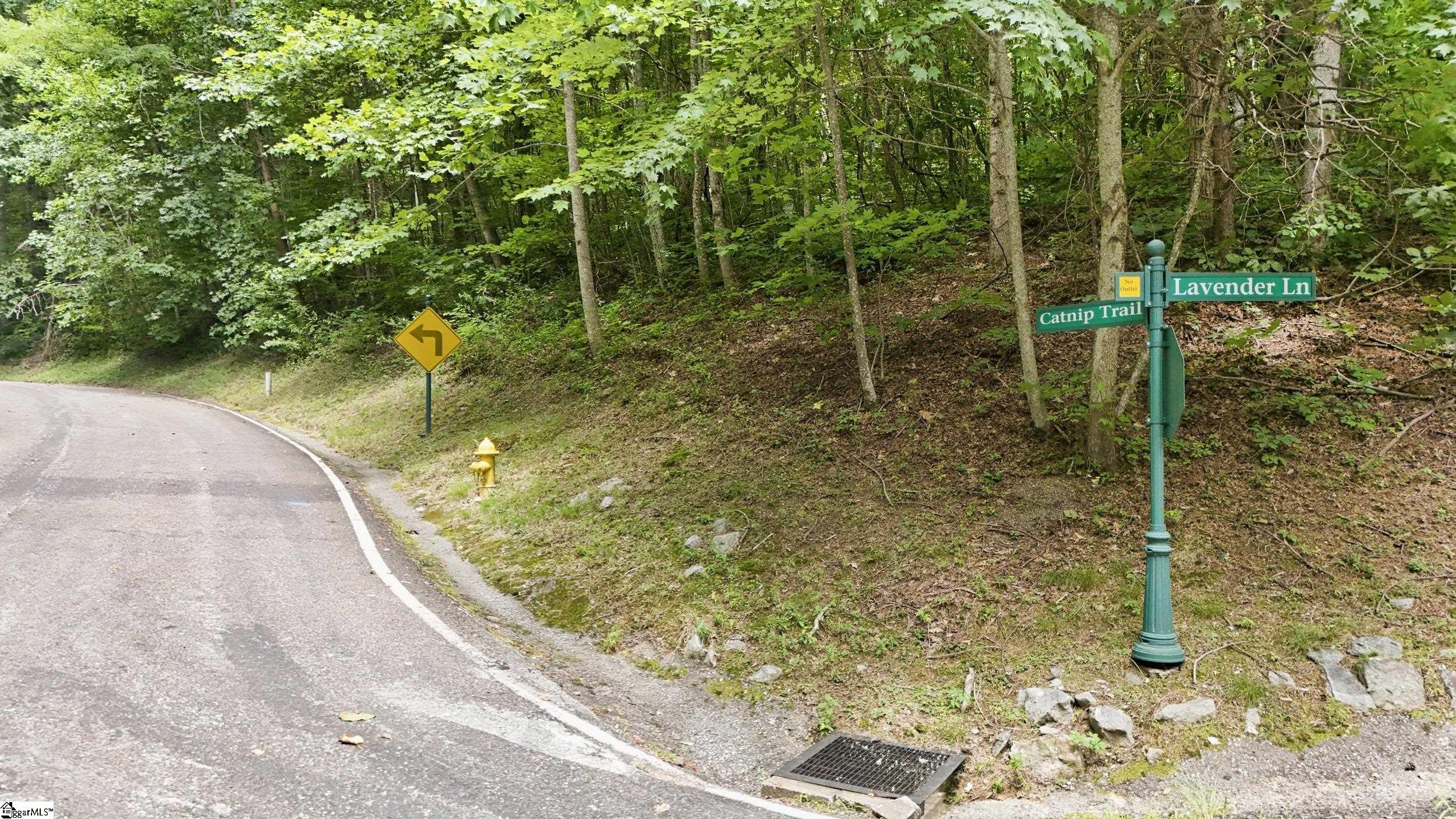 164 Catnip Trail Landrum, SC 29356 - Photo 2 of 30 Gallery Image 2