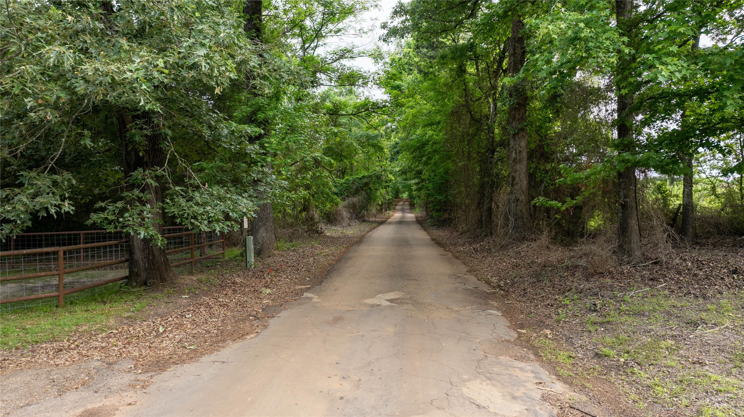 Lot 1 County Road Avinger, TX 75630 - Photo 4 of 20 Gallery Image 4