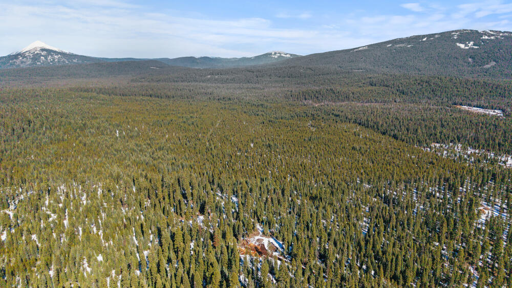 0 Clover Creek Road, Unit 71022 Klamath Falls, OR 97601 - Photo 5 of 15 5 CloverCreekRd600Acres-12
