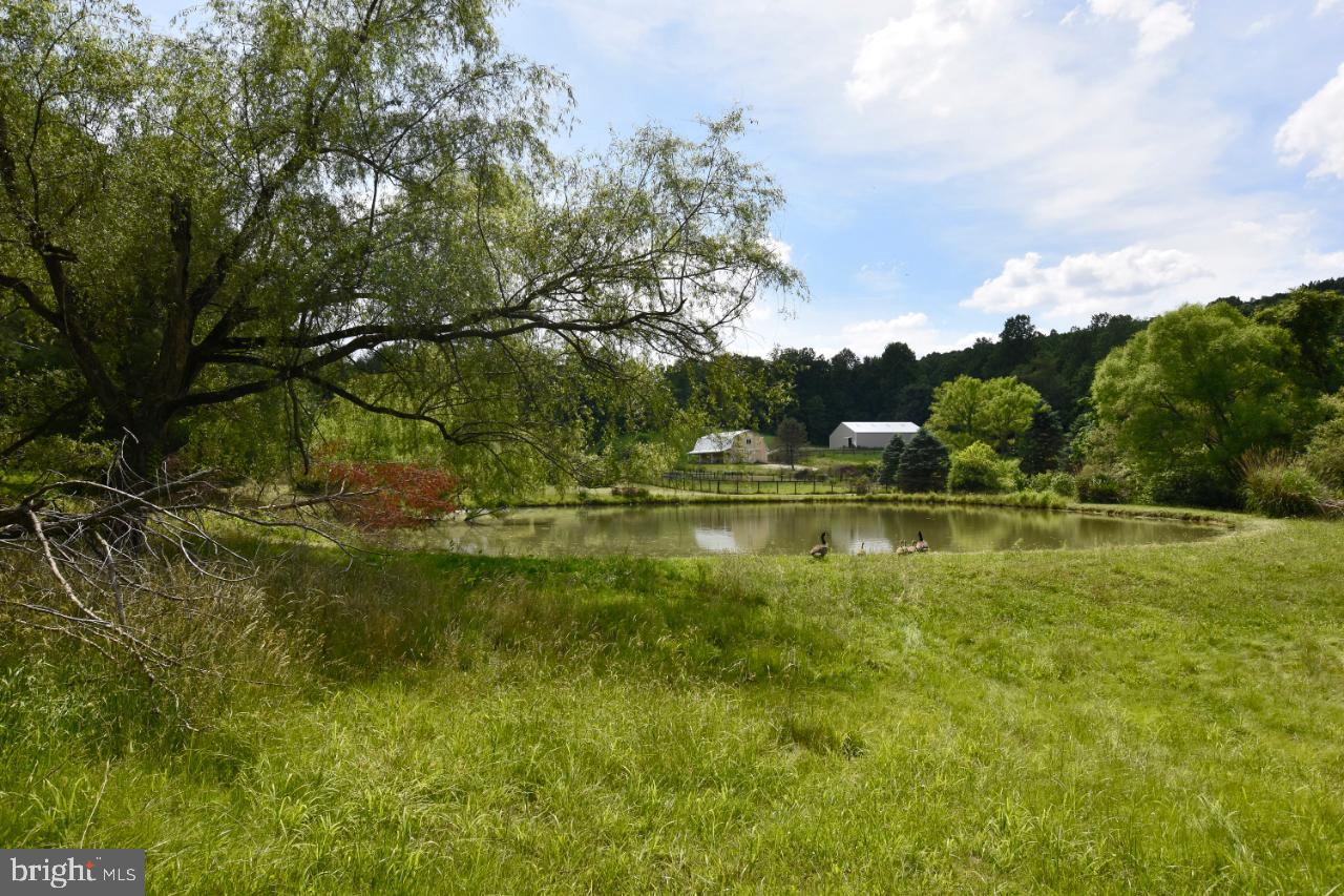860 Green Springs Road Hanover, PA 17331 - Photo 77 of 87 Gallery Image 77