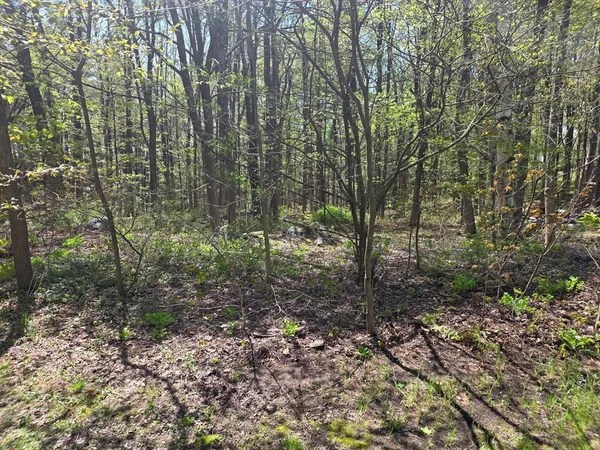 $50,000 | Lot 1 Winter Street, Orange, MA 01364