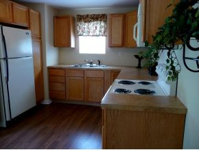 1610 Spring Street Kingsport, TN 37664 - Photo 4 of 12 Beautifully remodeled kitchen