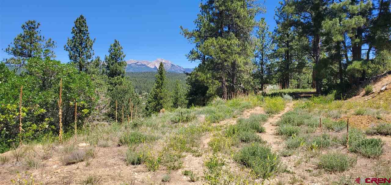 419 North Road Durango, CO 81303 - Photo 1 of 17 Gallery Image 1