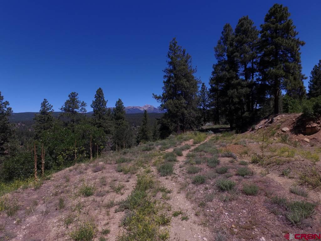 419 North Road Durango, CO 81303 - Photo 2 of 17 Gallery Image 2