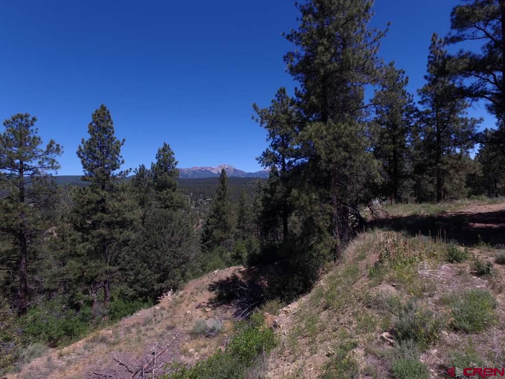 419 North Road Durango, CO 81303 - Photo 12 of 17 Gallery Image 12
