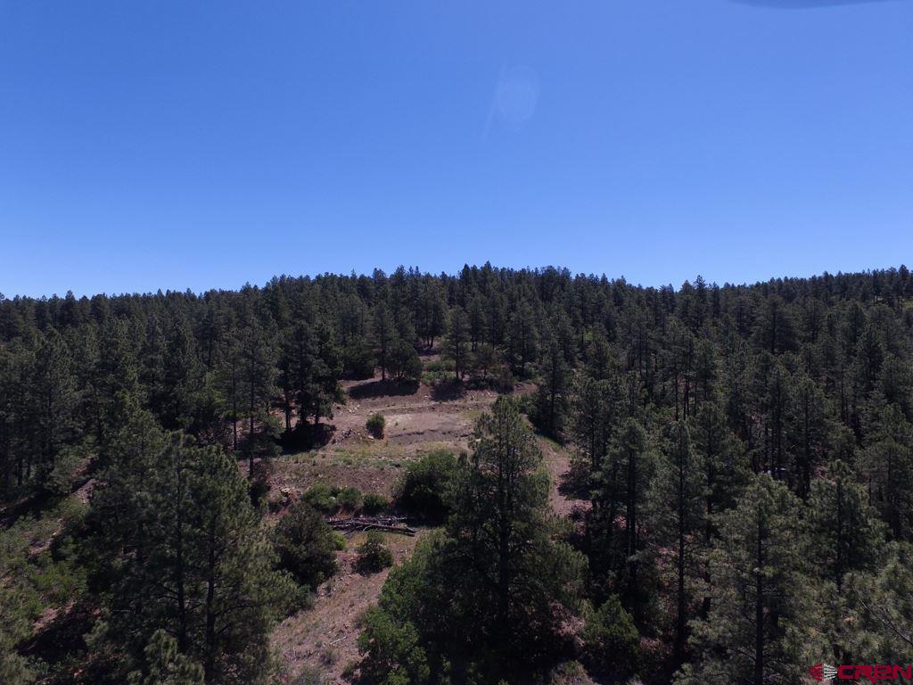 419 North Road Durango, CO 81303 - Photo 13 of 17 Gallery Image 13