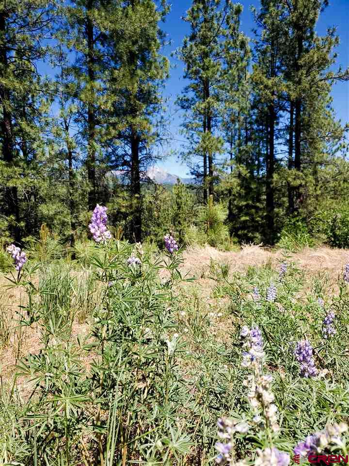 419 North Road Durango, CO 81303 - Photo 16 of 17 Gallery Image 16