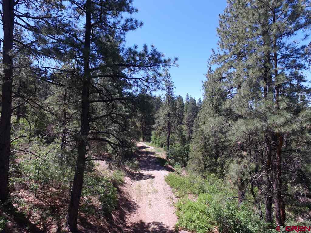 419 North Road Durango, CO 81303 - Photo 17 of 17 Gallery Image 17