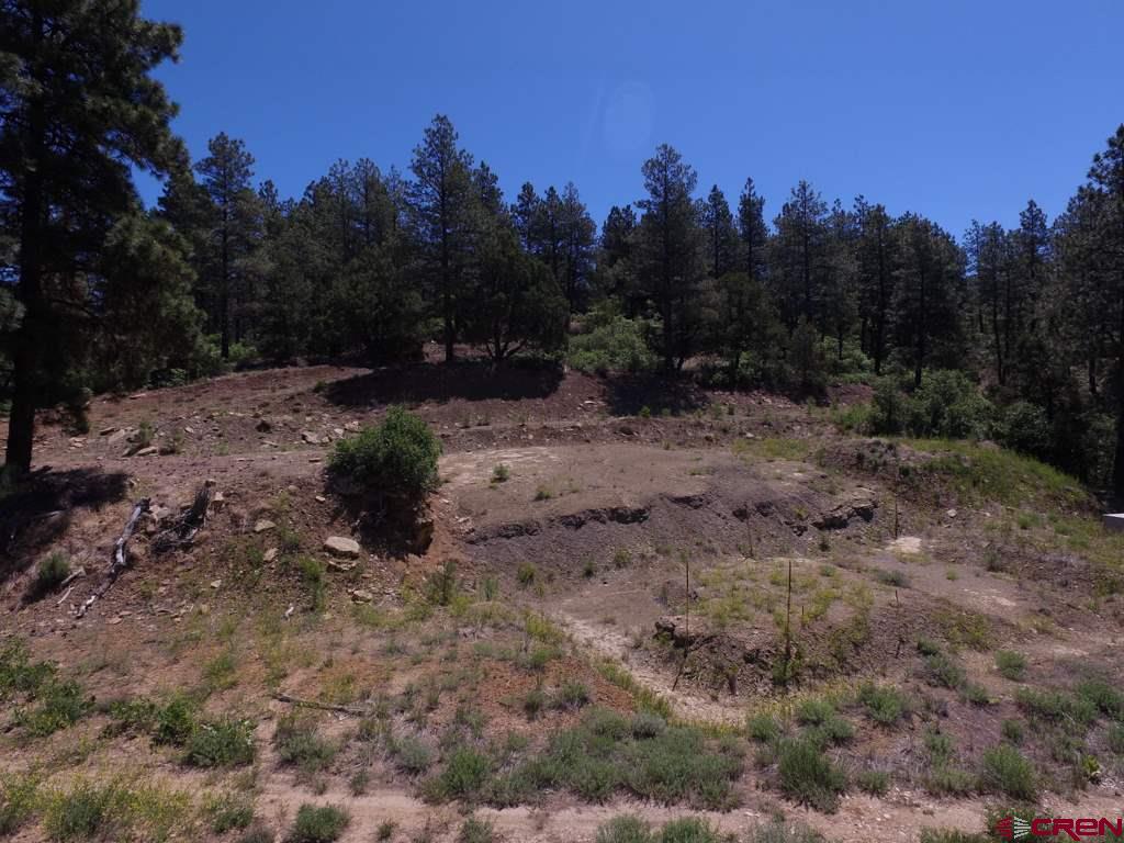 419 North Road Durango, CO 81303 - Photo 3 of 17 Gallery Image 3