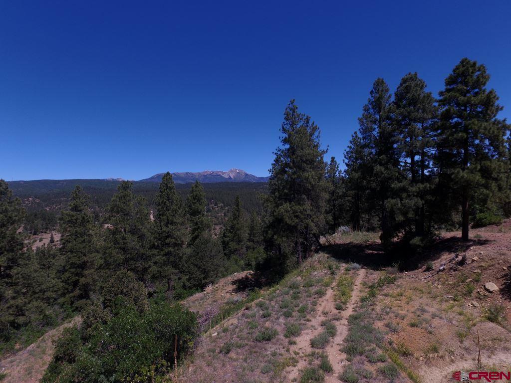 419 North Road Durango, CO 81303 - Photo 5 of 17 Gallery Image 5
