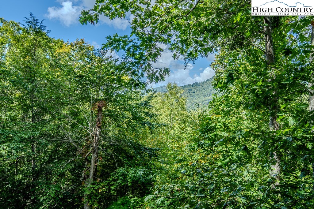 304 McGuire Road Sugar Grove, NC 28679 - Photo 22 of 39