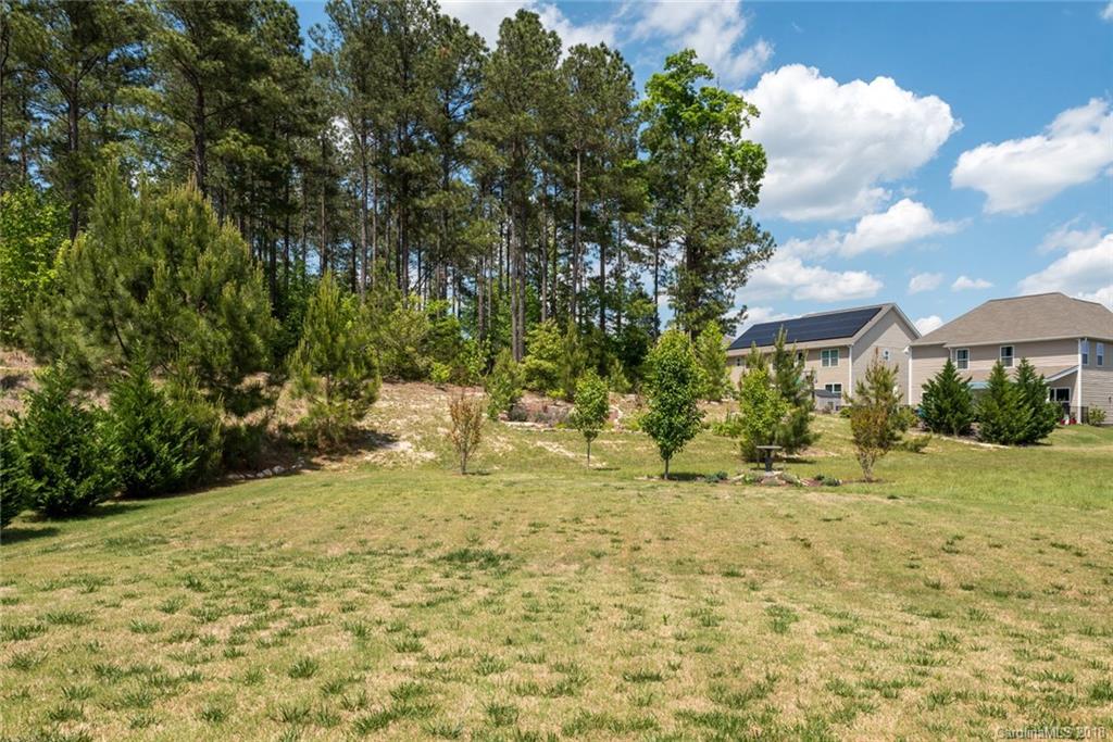 78004 Rillstone Drive Lancaster, SC 29720 - Photo 27 of 30