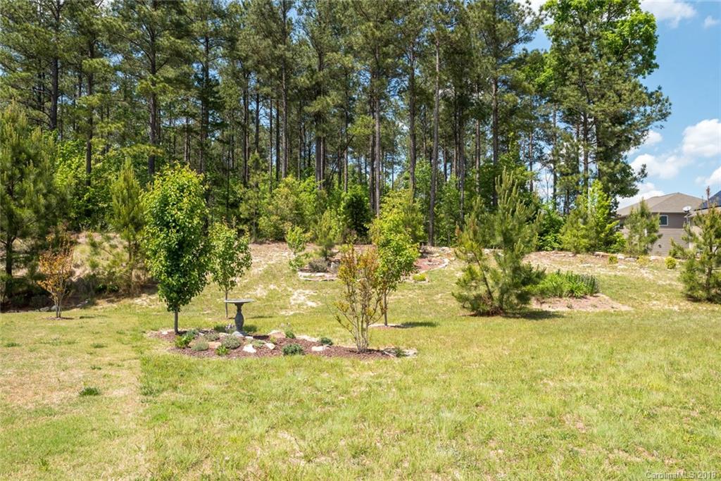 78004 Rillstone Drive Lancaster, SC 29720 - Photo 28 of 30