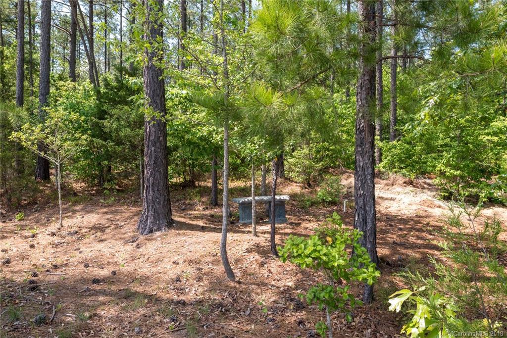 78004 Rillstone Drive Lancaster, SC 29720 - Photo 29 of 30
