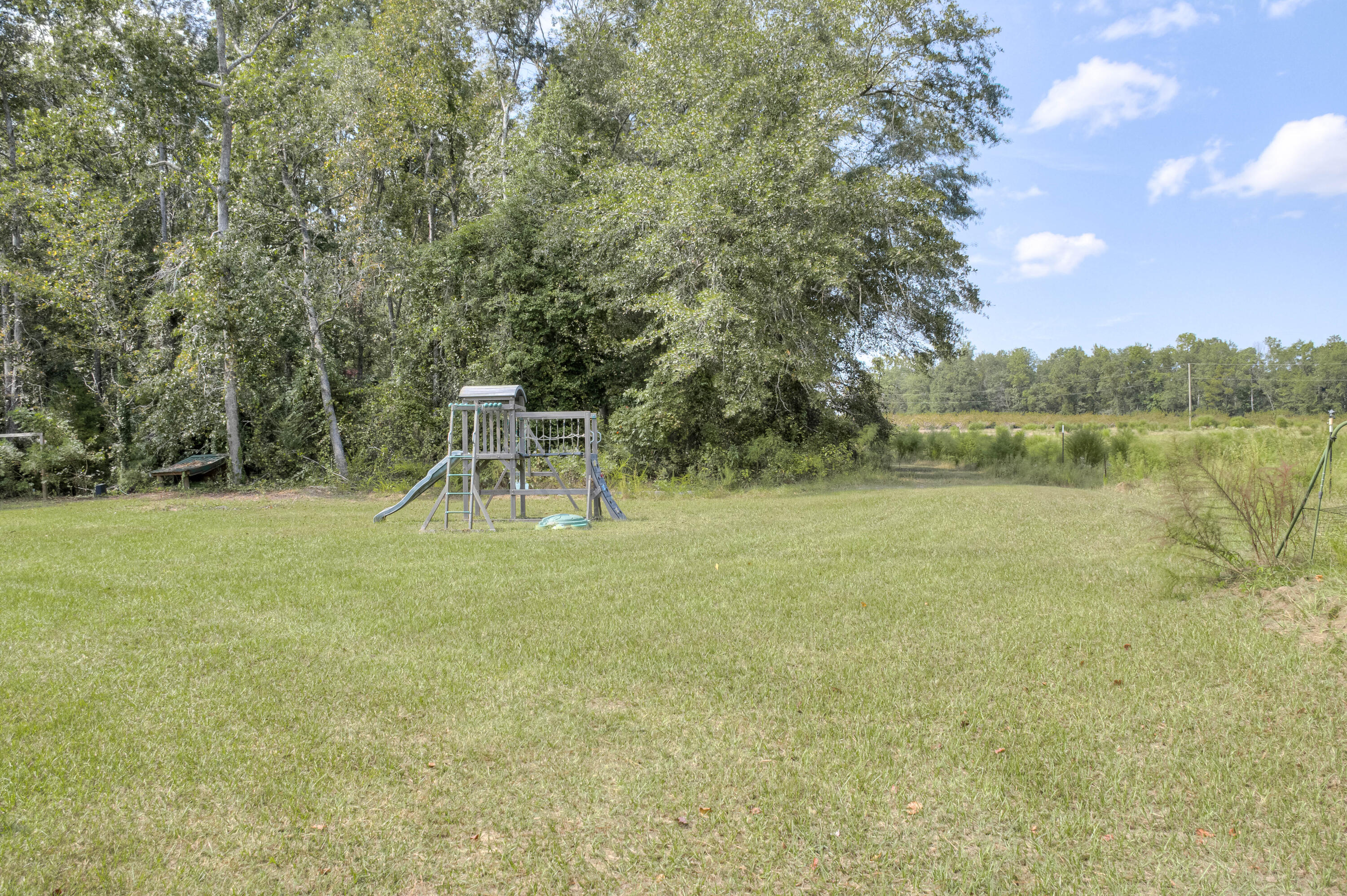 153 Rachel Road Ridge Spring, SC 29129 - Photo 23 of 57