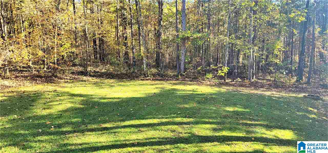 54 Austin Circle Heflin, AL 36264 - Photo 37 of 38