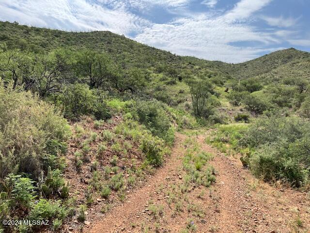 South Goodenough Trail Vail, AZ 85641 - Photo 5 of 13