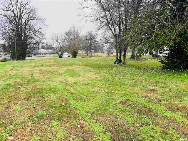 $4,000 | 129 East Wilson Avenue, Shawneetown, IL 62984